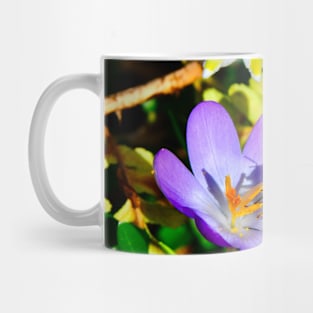 Honeybee II / Swiss Artwork Photography Mug